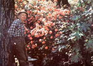 Dr. Ernest L Norman in Garden