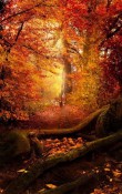nature10