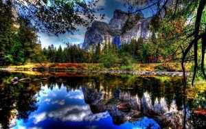 nature25