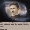 The Unknown Genius of Nikola Tesla